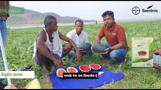 Bayer Seminis Dilkash  Watermelon Seeds  Odisha  Farmer Testimonial [upl. by Alrats]