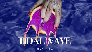 Chase Atlantic  Tidal Wave Official Lyric Video [upl. by Raynata]