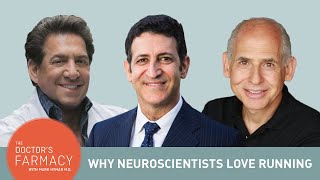 Why Neuroscientists Love Running [upl. by Eilyak]