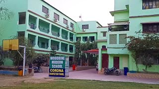 Woodbine Modern School DARBHANGA [upl. by Nemlaz617]