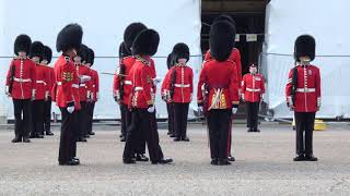 Nijmegen Company Grenadier Guards [upl. by Roselba]