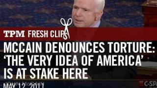 McCain Denounces Torture The Very Idea Of America Is At Stake Here [upl. by Einttirb774]