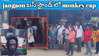 jangaon బస్టాండ్ లో monkey cap [upl. by Dallis]