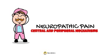 Neuropathic Pain  Central and Perihperal Mechanism  Neuroaholic [upl. by Kentiggerma]