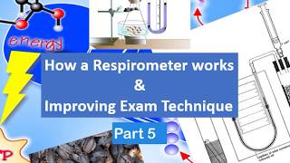 Respirometer and Exam Questions Part 5 [upl. by Noak]