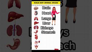 English Skills Human body internal organs english shorts [upl. by Etnoled]