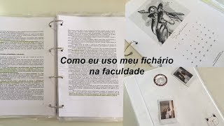 COMO ORGANIZO MEU FICHÁRIO  Na Faculdade [upl. by Noskcire]