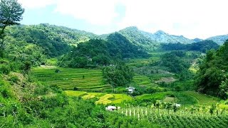 Exploring wonders and Beauty at Nagacadan Rice Terraces [upl. by Joshi407]