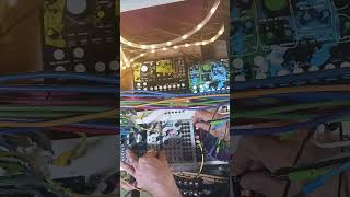 disting mk4 expertsleepers vco oscilator eurorack 2hp turingmachine turing random chaos [upl. by Amity26]