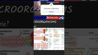 Archaea vs Bacteria [upl. by Koss]