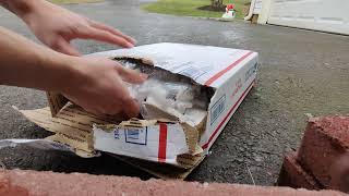 Arthropod Antics Unboxing Video not picture [upl. by Amyaj]