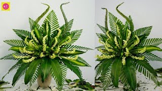 HOW TO DO Flower Arragement Polianthes Tuberosa Dracaena fragrans141 [upl. by Edmunda671]