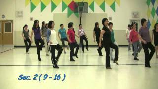 Vincero  Line Dance  Nov 3 2011mp4 [upl. by Ynnahc984]