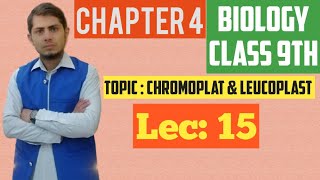 Chromoplast explained  Class 9th Chp 4 Lec  15 [upl. by Atilahs]