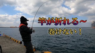 港で、エレベーター仕掛けに凄いアタリがキター！ [upl. by Aneel]