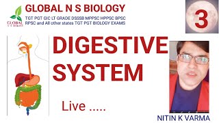 Digestive system Lecture 3 [upl. by Luoar]