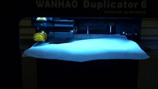 Wanhao Duplicator 6 manual leveling method [upl. by Boyt]