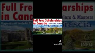 Brescia University Scholarships in Canada 20242025 Fully Funded [upl. by Freddie481]