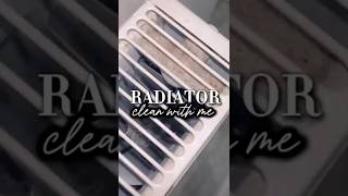 RADIATOR CLEAN  CLEANING TIPS  CLEANING  CLEAN WITH ME  CLEANING HACKS [upl. by Yesnikcm]