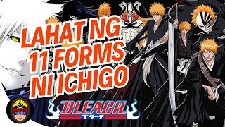 Lahat ng 11 Forms ni Ichigo  Bleach Review [upl. by Lleinad]