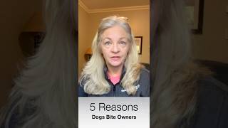 5 Reasons Dogs Bite Owners short [upl. by Fianna]