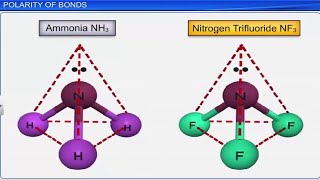 CBSE Class 11 Chemistry  Chemical Bonding and Molecular Structure Part 2  Full Chapter [upl. by Ddej]