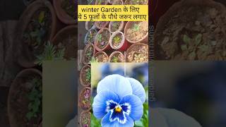 5 most beautiful flowering plants for winter winterflowersname winterflower shorts ytshorts [upl. by Trofmoc896]