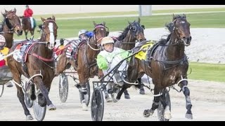 2024 Hygain Graham Goffin Memorial FFA 1720M Melton Australia  Captain Ravishing 1524 [upl. by Aldous]