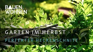 Garten im Herbst Profitipps zum Hecke schneiden  BAUEN amp WOHNEN [upl. by Seleta]