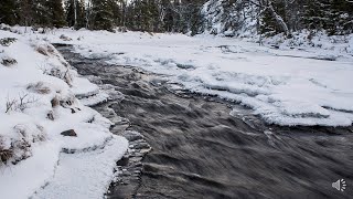 Strömmande vatten [upl. by Cherrita187]