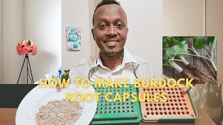 How to make Burdock root capsules [upl. by Obadiah]