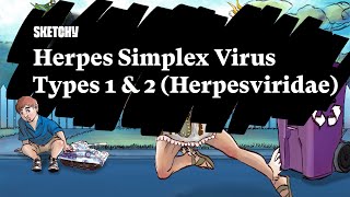 Herpes Simplex Virus Types 1 amp 2 Herpesviridae  Part 1  Sketchy Medical  USMLE Step 1 [upl. by Teuton]