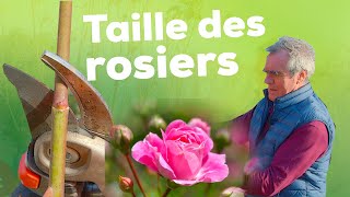 La taille des rosiers  Pourquoi quand et surtout comment  Tout savoir [upl. by Aisetra]