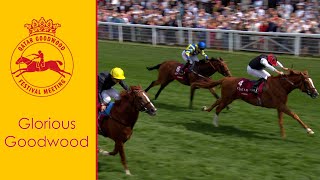 Absolute THRILLER STRADIVARIUS just denied again by KYPRIOS in the 2022 Al Shaqab Goodwood Cup [upl. by Nohsad]