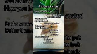 Remember when music fypシ゚viral rememberwhen remember funnyanimal real isitjustme [upl. by Alyahsal]