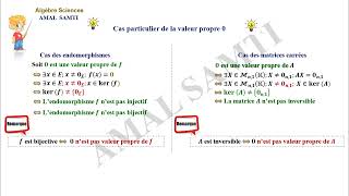 Réduction des endomorphismes partie N° 1 Les valeurs propres [upl. by Kazue]