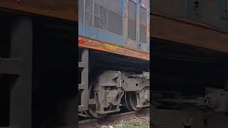 U20C buzinando trem ferrovia railfan shorts [upl. by Uranie]