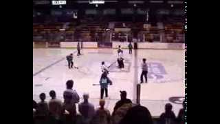 2008 IFBA World Broomball Championships D2 [upl. by Baras]