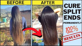 Cure Your SPLIT ENDS Permanently without cutting  Split ends home remedies [upl. by Delogu]