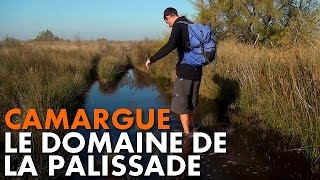 Randonnée Camargue  le Domaine de la Palissade Carnets de Rando 14 HD720p [upl. by Rufus]