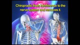 Chiropractic Patient Education Videos [upl. by Helaine386]