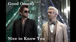 Good Omens  Aziraphale amp Crowley  Nice to Know You [upl. by Hagi175]