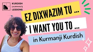 Expressing Your Desires in Kurdish Kurmanji Ez dixwazim tu  Beginners Guide to Kurdish [upl. by Yadrahs]