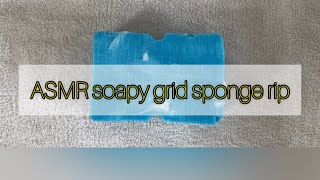 ASMR Soapy Sponge Week  Grid sponge rip Ripping sponges 🧽 [upl. by Arlynne879]