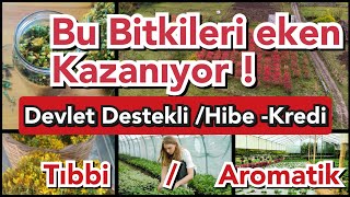 Aktif Hibe Devlet Desteği  Düşük faizli kredi programları  Tıbbi Aromatik bitki yetiştiriciliği [upl. by Muna]