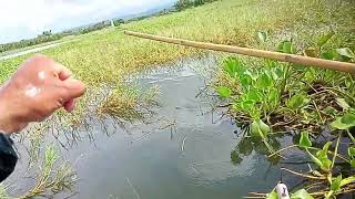 MAHANGIN NA HUNTING SUBOK PADIN paulhuntervlog [upl. by Treiber485]