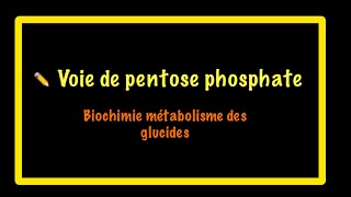 Voie de pentose phosphate VPP Biochimie [upl. by Aihtnys]