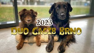 Duo Cacib Brno 2023 [upl. by Pippas]