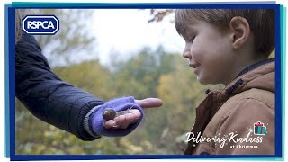 A Little Kindness  RSPCA Christmas Ad 2018 [upl. by Eppes]