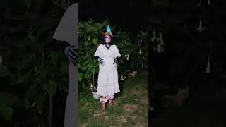 Video día de muertos por Meli [upl. by Kuska]